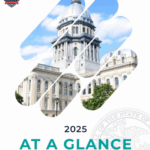 At A Glance 2025